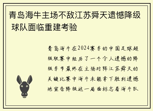 青岛海牛主场不敌江苏舜天遗憾降级 球队面临重建考验